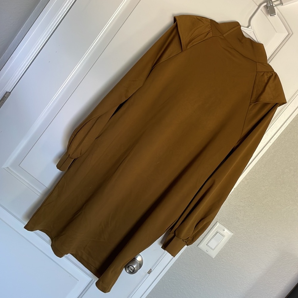 Long Sleeve Turtle Ruffle Dress - Picture 7 of 7